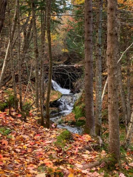 La Spacieuse Riverstone Citq3O1849 Saint Pierre de Broughton Bagian luar foto