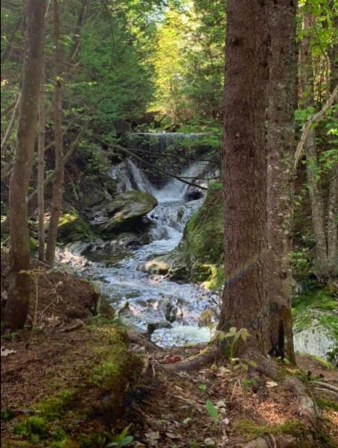 La Spacieuse Riverstone Citq3O1849 Saint Pierre de Broughton Bagian luar foto