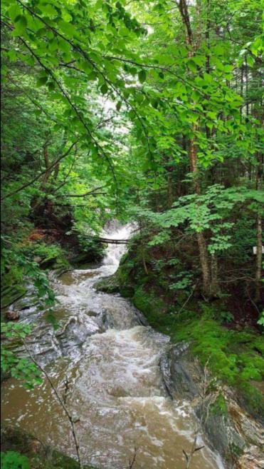 La Spacieuse Riverstone Citq3O1849 Saint Pierre de Broughton Bagian luar foto